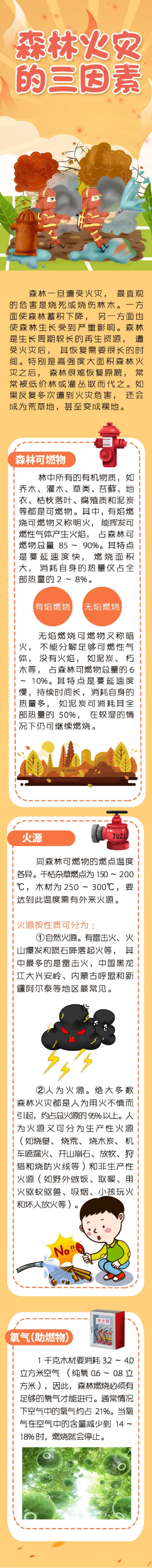 森林火灾的三因素.png