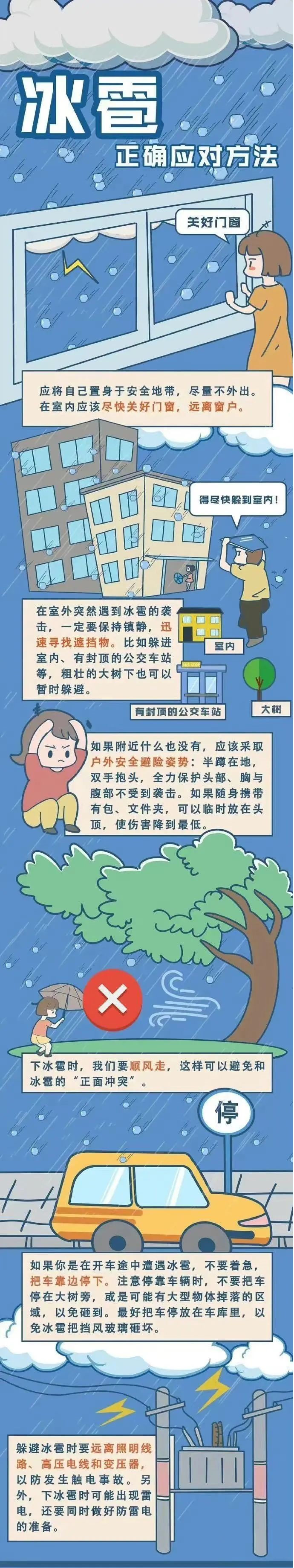 冰雹正确应对方法.jpg