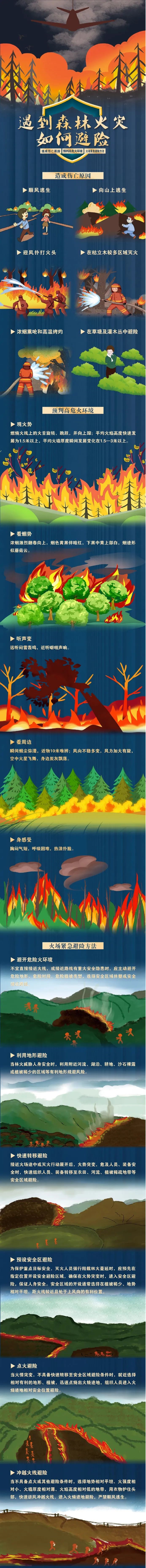 遇森林火灾如何避险.jpg