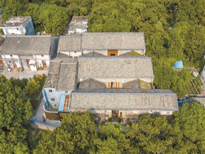 已编辑图片