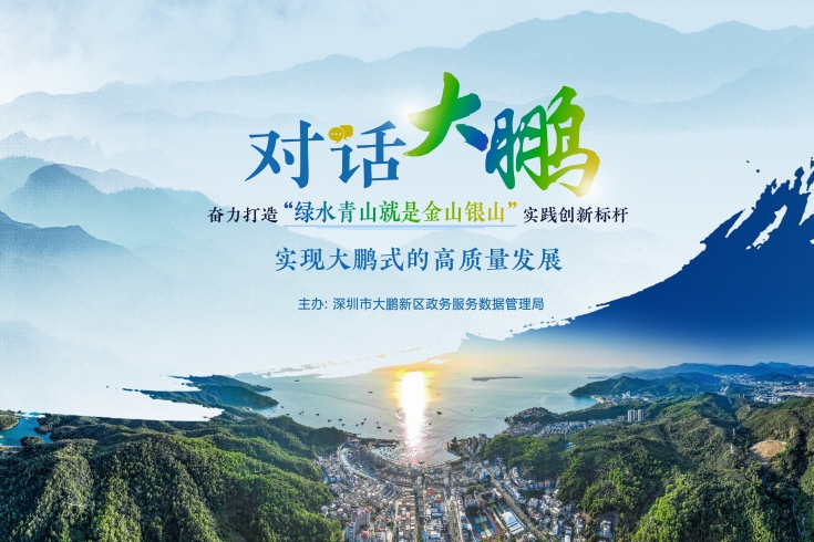 大鹏新区政府在线