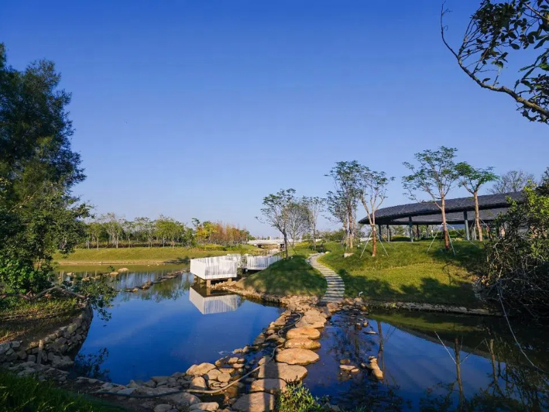 坝光水生态公园3 (1).jpg